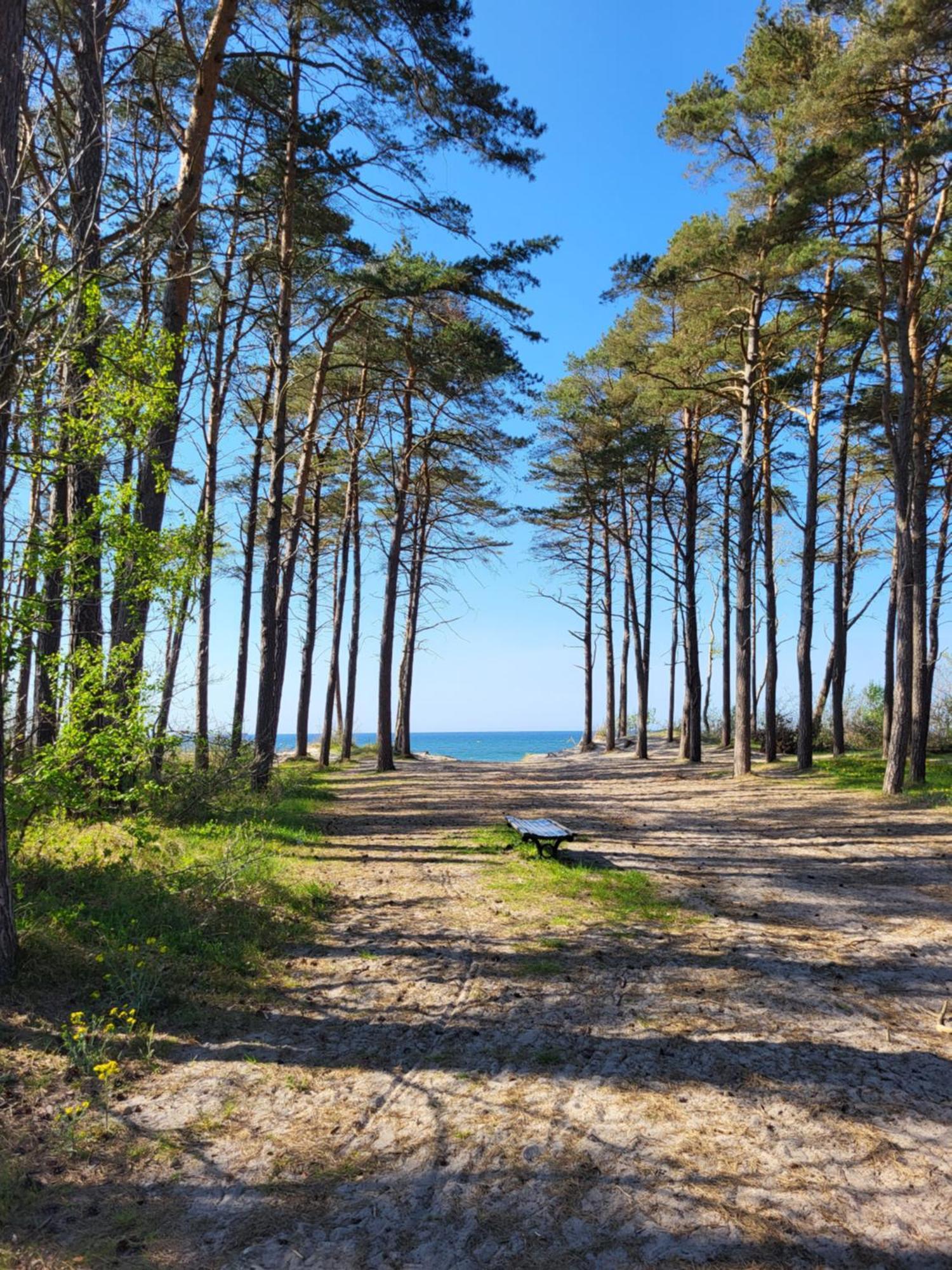 Domki Letniskowe ,,Tecza" Rusinowo  Esterno foto